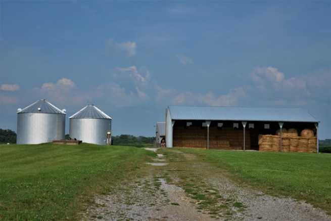 Hala rolnicza – praktyczne rozwiązanie na magazynowanie sprzętu, płodów rolnych i hodowlę zwierząt. Ja zaplanować budowę funkcjonalnej hali?