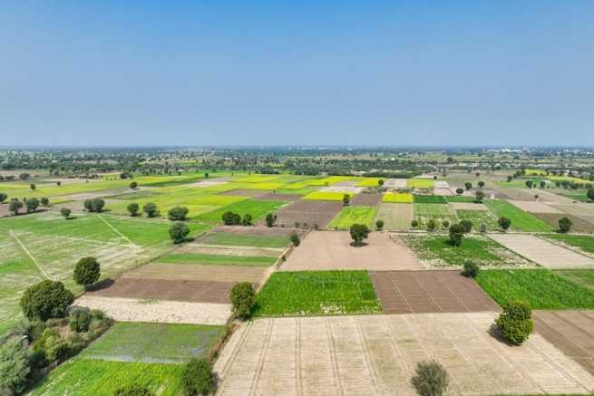 Sprzedaż odziedziczonej ziemi rolnej - kiedy i jak to zrobić? Obowiązujące przepisy i podatki