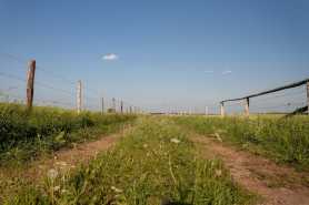 Zalewanie posesji po przebudowie drogi gminnej, obowiązki gminy i właściciela działki