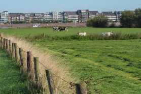 Oświadczenie o osobistym prowadzeniu gospodarstwa rolnego